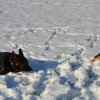 dsc_0307_1